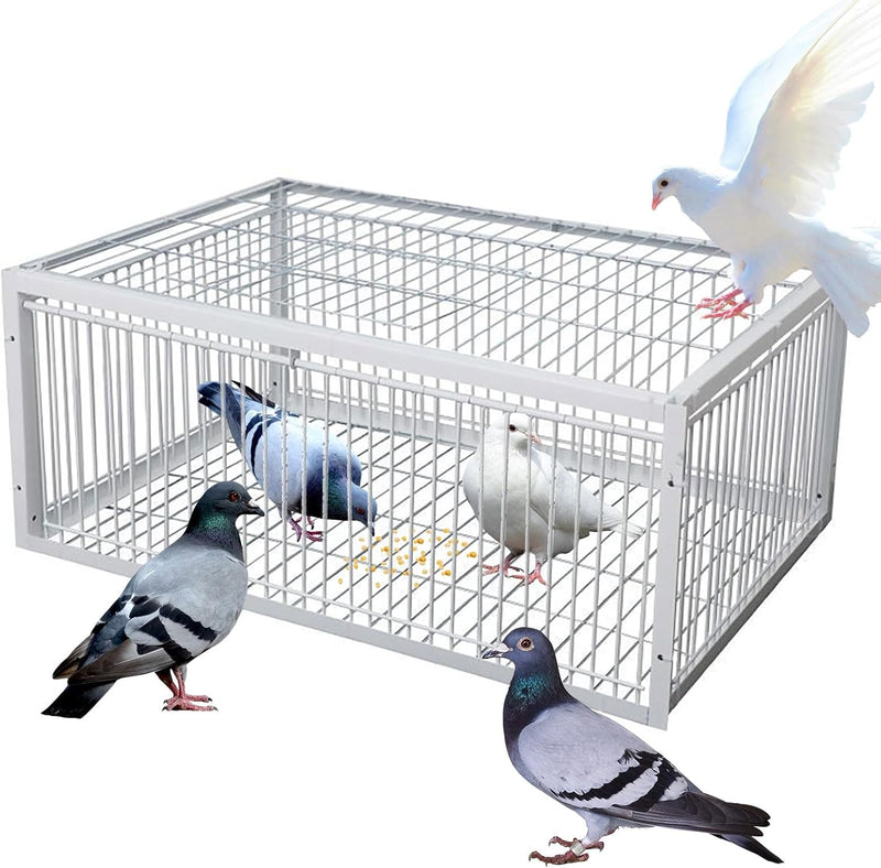 Multifunctional Birdcage, 2 Way Entrance - TUZZUT Qatar Online Shopping