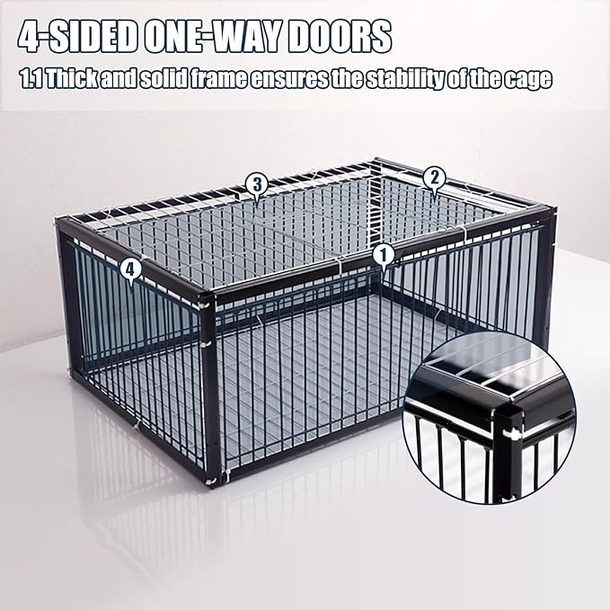 Multifunctional Birdcage, 4 Way Entrance - TUZZUT Qatar Online Shopping