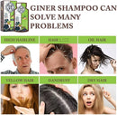 Ginger Plant Extract Convolute Anti-Hair Loss Shampoo - TUZZUT Qatar Online Shopping