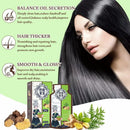 Ginger Plant Extract Convolute Anti-Hair Loss Shampoo - TUZZUT Qatar Online Shopping