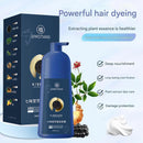 Qiweitang Hair Dye Shampoo 500ml  (Chestnut Brown) - TUZZUT Qatar Online Shopping