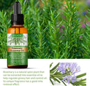 EELHOE Rosemary Essential Oil - 30ml - TUZZUT Qatar Online Shopping