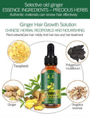 King Of Ginger 7 Days Ginger Germinal Oil Hair Tonic Growth Essence Anti-Fall Hair Treatment Care - Tuzzut.com Qatar Online Shopping