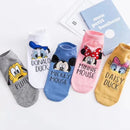 5 Pcs Women 's Sneaker Sock 523442 - TUZZUT Qatar Online Shopping
