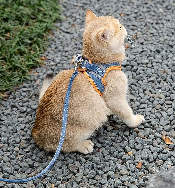 Cat Harness for Cats, Cat Gear, Cat Accessories S4937063 Cat Harness for Cats, Cat Gear, Cat Accessories S4937063