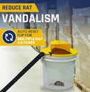 Mouse Trap Bucket - TUZZUT Qatar Online Shopping