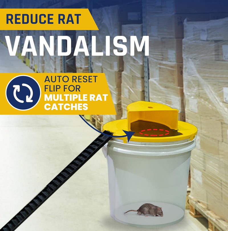 Mouse Trap Bucket - TUZZUT Qatar Online Shopping