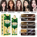 Plant Bubble Hair Dye Shampoo 300ml - Tuzzut.com Qatar Online Shopping