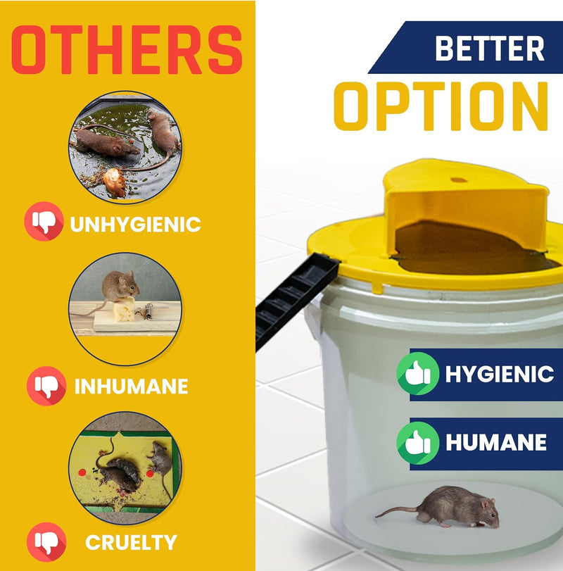 Mouse Trap Bucket - TUZZUT Qatar Online Shopping