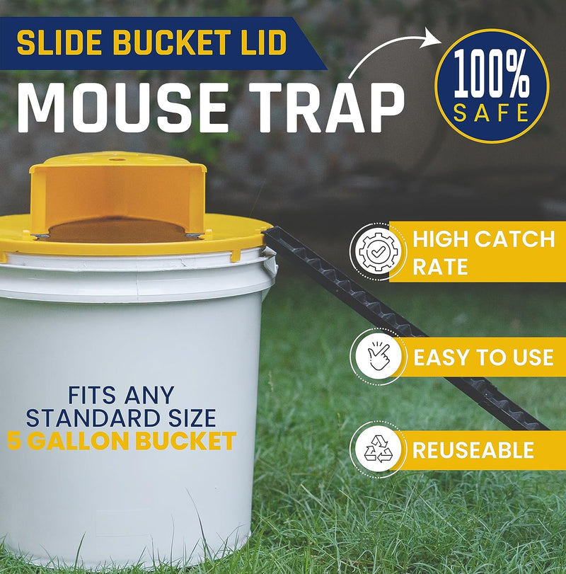 Mouse Trap Bucket - TUZZUT Qatar Online Shopping