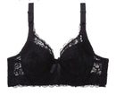 Sports Brawls for Women Womens Sexy Lace Gathered Bra  B8826 - TUZZUT Qatar Online Shopping