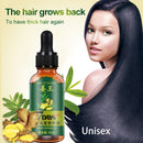 King Of Ginger 7 Days Ginger Germinal Oil Hair Tonic Growth Essence Anti-Fall Hair Treatment Care - Tuzzut.com Qatar Online Shopping