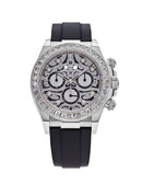 Luxury Tiger Daytona Watch W007 - TUZZUT Qatar Online Shopping