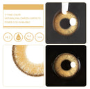 Unibling Dubai Brown Contact Lenses for Eyes (1 Pair) - TUZZUT Qatar Online Shopping