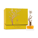 Aurora Deciduous Autumn EDP for Women | 100ml - TUZZUT Qatar Online Shopping
