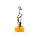 Aurora Deciduous Autumn EDP for Women | 100ml - TUZZUT Qatar Online Shopping