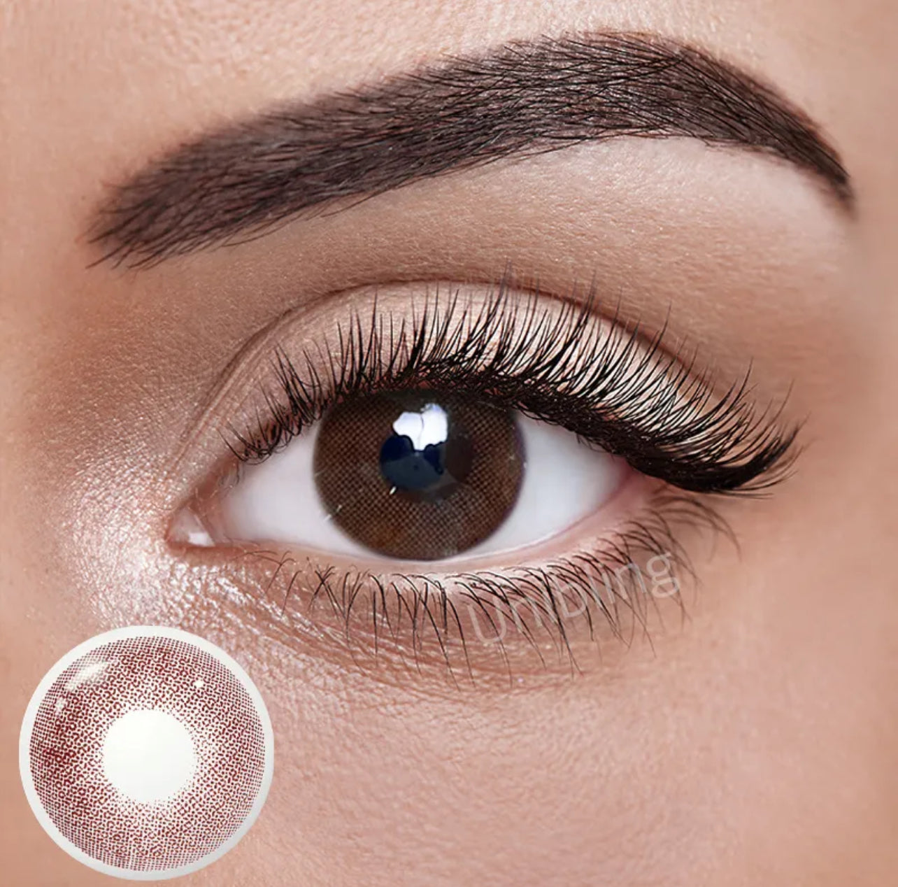 Unibling Queen Chocolate Contact Lenses for Eyes (1 Pair) Unibling Queen Chocolate Contact Lenses for Eyes (1 Pair)