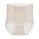 High Waist Ice Silk Seamless Underwear Zp357 - TUZZUT Qatar Online Shopping