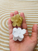 2Pcs Women Hair Clips 596222 - TUZZUT Qatar Online Shopping