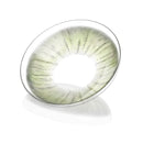 Unibling Rome Time Oliver Contact Lenses for Eyes (1 Pair) - TUZZUT Qatar Online Shopping