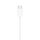 Apple EarPods with USB-C Connector - TUZZUT Qatar Online Shopping