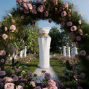 Maison Asrar JOY – EDP 100ml for Women | Inspired by Prada Paradoxe - TUZZUT Qatar Online Shopping