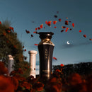 Maison Asrar LUNA – EDP 100ml for Women | Inspired by Coco Mademoiselle Chanel - TUZZUT Qatar Online Shopping