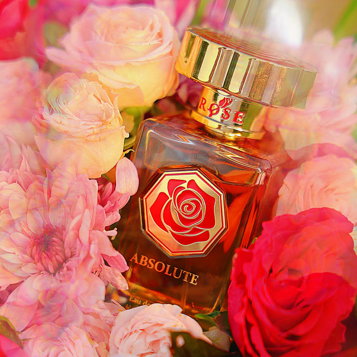 Maison Asrar ROSÉ ABSOLUTE – EDP 110ml | Inspired by Roses Vanille Mancera - TUZZUT Qatar Online Shopping