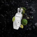 Maison Asrar TIMELESS – EDP 100ml | Inspired by Aventus Creed - TUZZUT Qatar Online Shopping