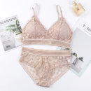Women Lace Seamless Backless Padded Ultrathin Bra & Brief Sets - B775 - Tuzzut.com Qatar Online Shopping