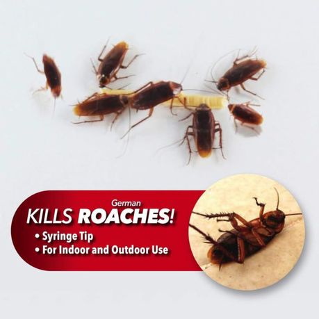 2 PCS Expert Cockroach Killing Gel 30g - Tuzzut.com Qatar Online Shopping