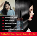 RHIXE Ganoderma Atrum Polygonum multiflorum White to Black Serum Nourish hair roots Hair Care 100ml - Tuzzut.com Qatar Online Shopping