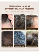 RHIXE Ganoderma Atrum Polygonum multiflorum White to Black Serum Nourish hair roots Hair Care 100ml - Tuzzut.com Qatar Online Shopping