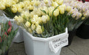 6PCS Real Touch Tulip Artificial Flower S4066369 - Tuzzut.com Qatar Online Shopping
