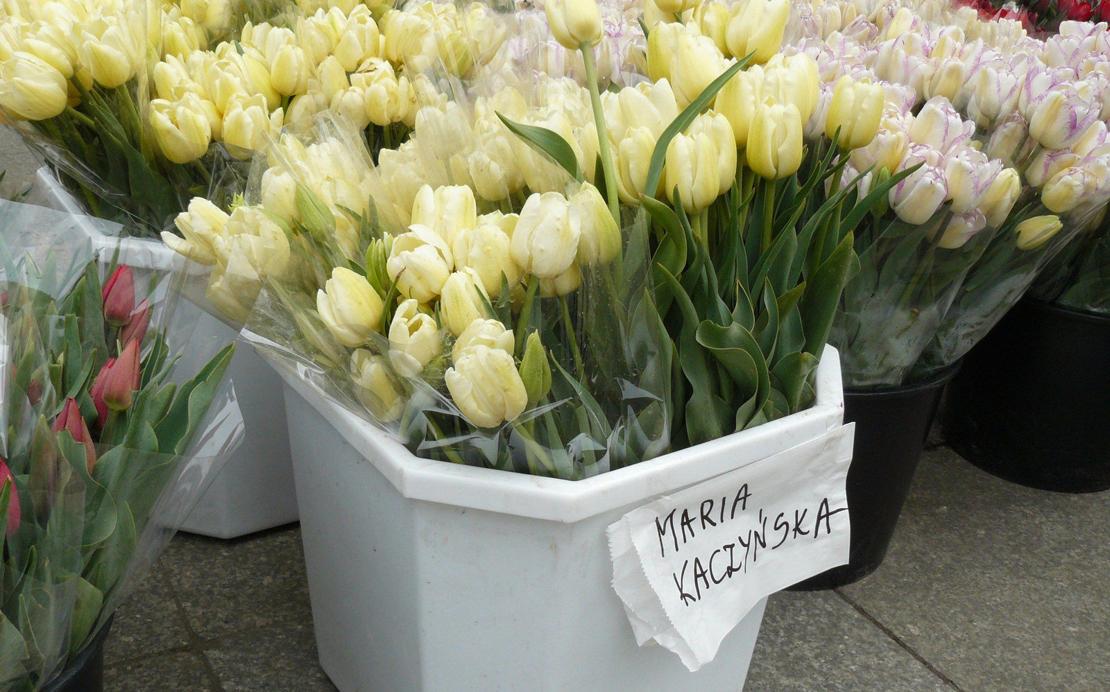 6PCS Real Touch Tulip Artificial Flower S4066369 6PCS Real Touch Tulip Artificial Flower S4066369