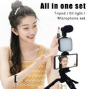 Video Vlog Making Tripod Kit with Mic & Light AY-49 - Tuzzut.com Qatar Online Shopping