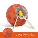DIY Planet Toy Set For Kid Gemstone Mineral Dig It Out - Tuzzut.com Qatar Online Shopping