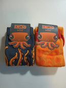 High School Science Educational Material Curiosity Box - Tuzzut.com Qatar Online Shopping