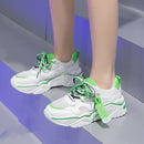 Jintu Women Casual Breathable Walking Mesh Fashion Shoes 1913 - TUZZUT Qatar Online Shopping