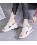 Wedges Buckle Women's Sandals 30369 - TUZZUT Qatar Online Shopping