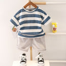 Boys Pants Suit 2-3 Years 398381 - TUZZUT Qatar Online Shopping