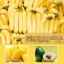 Aichun Beauty Professional OEM Whitening Cream Face & Body Banana Magic Whitening Cream For All Skin 80g - TUZZUT Qatar Online Shopping