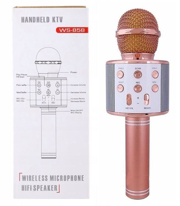 Handheld KTV Wireless Microphone Hifi Speaker WS-858