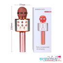 Handheld KTV Wireless Microphone Hifi Speaker WS-858 - TUZZUT Qatar Online Shopping