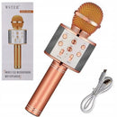 Handheld KTV Wireless Microphone Hifi Speaker WS-858 - TUZZUT Qatar Online Shopping