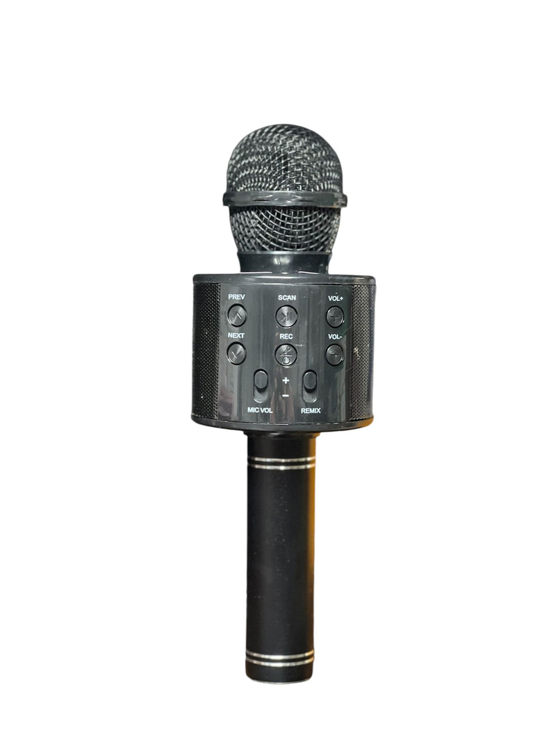 Handheld KTV Wireless Microphone Hifi Speaker WS-858