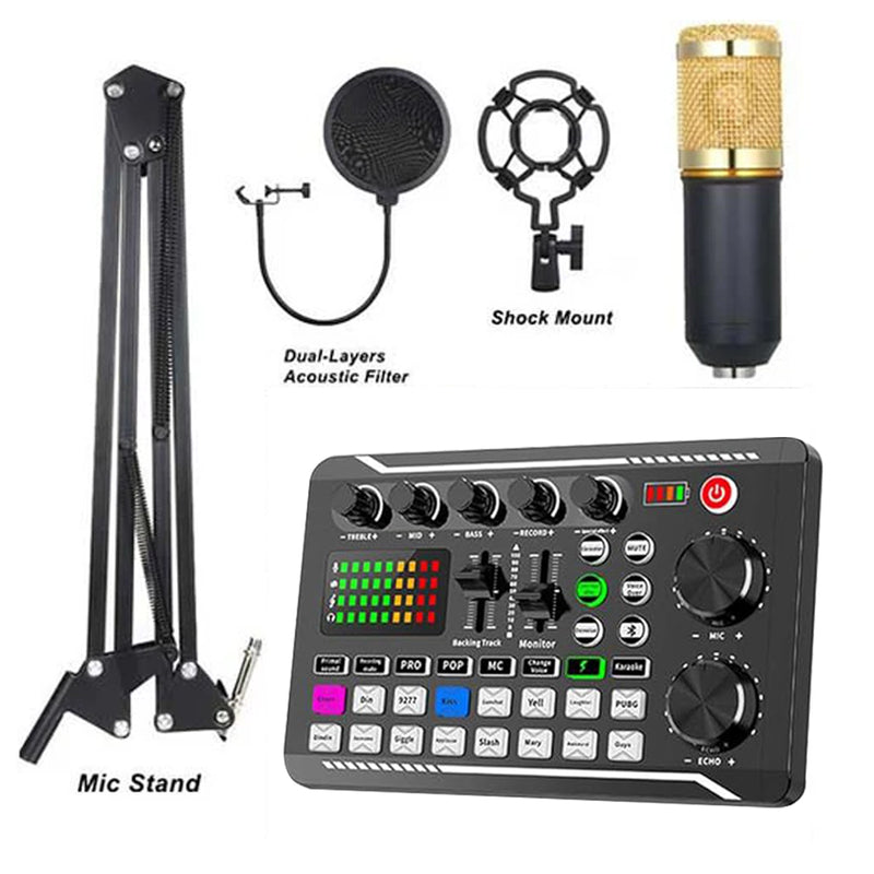 Professional Live Sound Card Condenser Microphone 988BM800-KIT