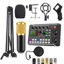 Professional Live Sound Card Condenser Microphone 988BM800-KIT - TUZZUT Qatar Online Shopping