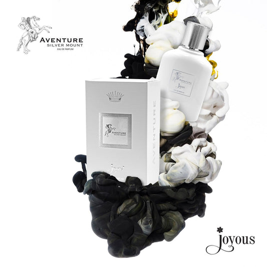 AVENTURE SILVER MOUNT JOYOUS Creed Silver Mountain Alternative (100ml Men's) AVENTURE SILVER MOUNT JOYOUS Creed Silver Mountain Alternative (100ml Men's)