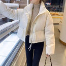 Women's Padded Coat 462086 - XL - TUZZUT Qatar Online Shopping